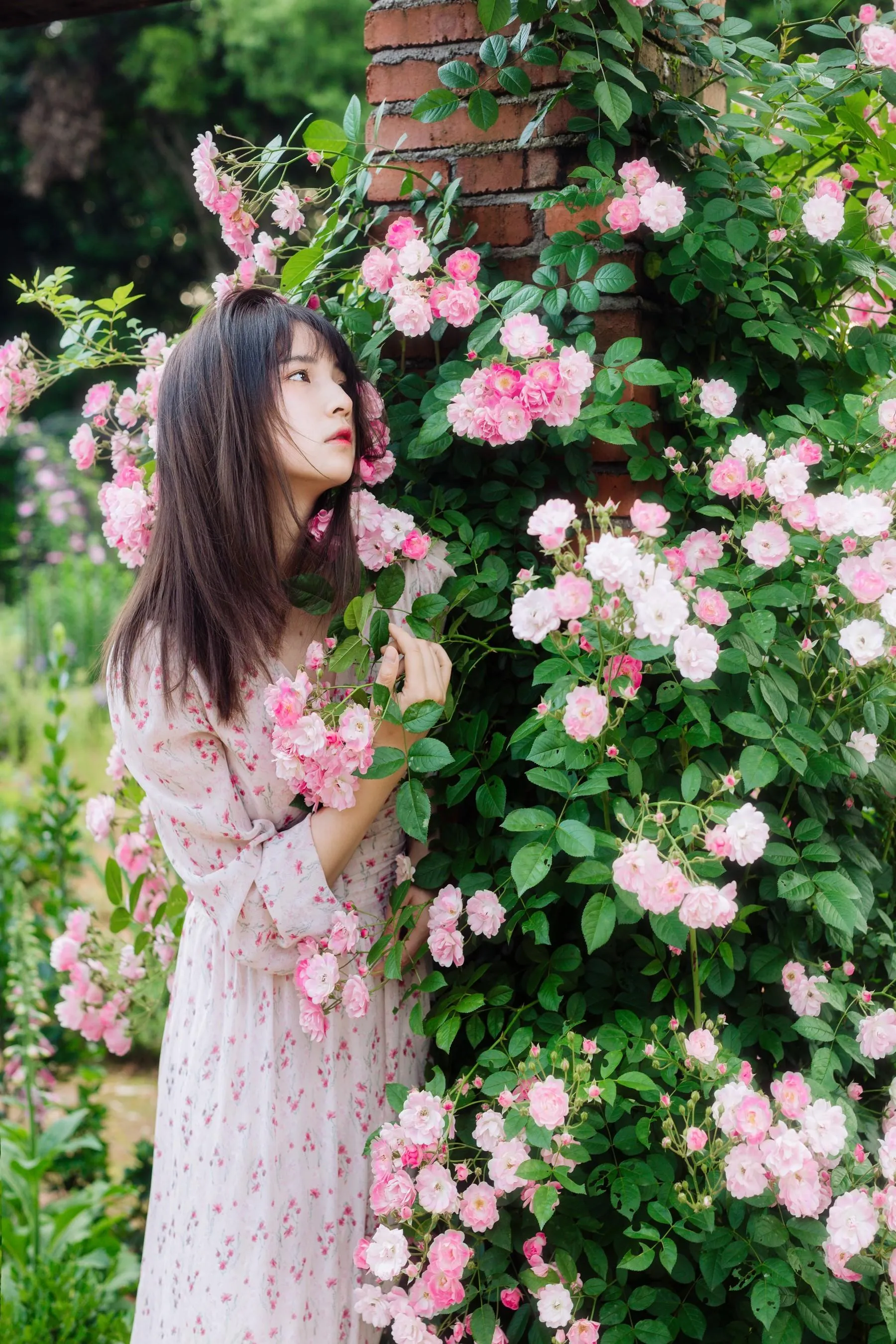 [艺图语] 2022.06.13 梦之花 郭艳霞 [22P]插图7